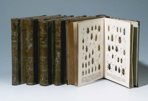 Fauna Germanica.