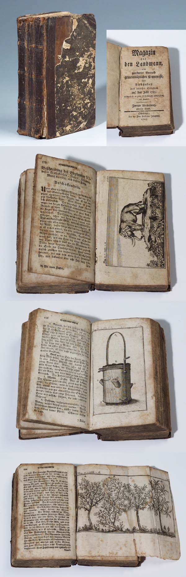 Magazin für den Landmann 1785.