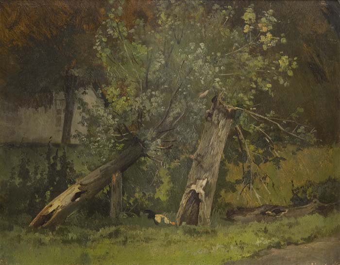 Schirm, Carl Coven.